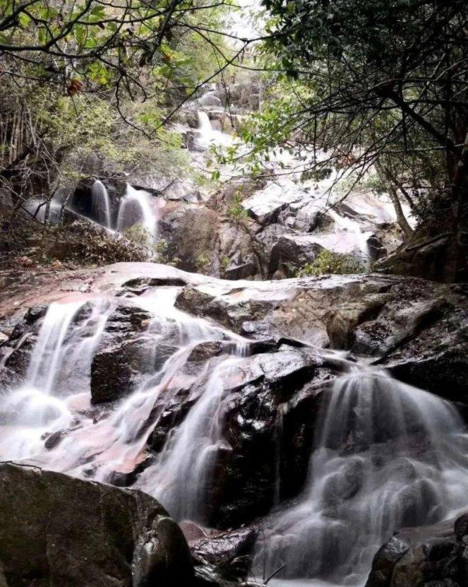 屠龙破晓